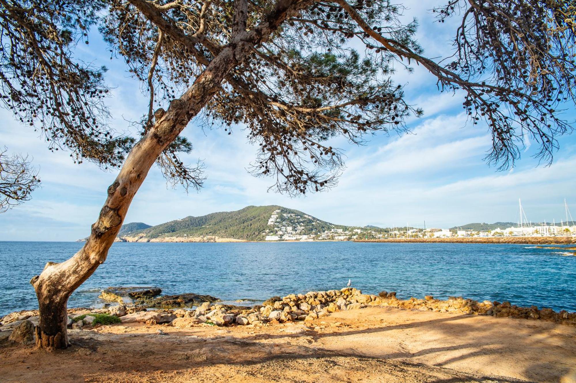 Pierre & Vacances Ros Ibiza Santa Eularia des Riu Esterno foto